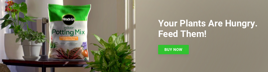 bag of potting soil sitting on a table saying your plants are hungry. Feed them!